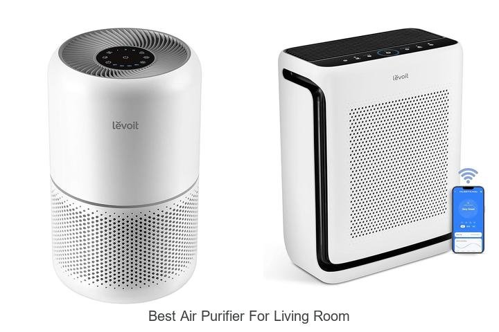 best air purifier for living room