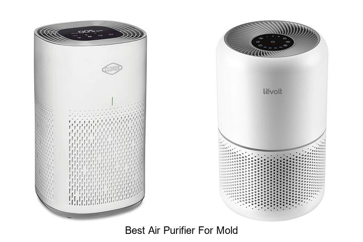 best air purifier for mold