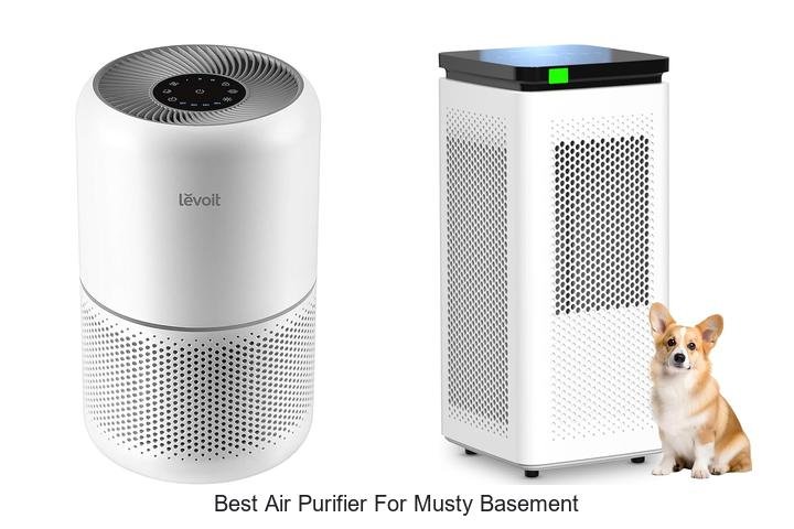 best air purifier for musty basement