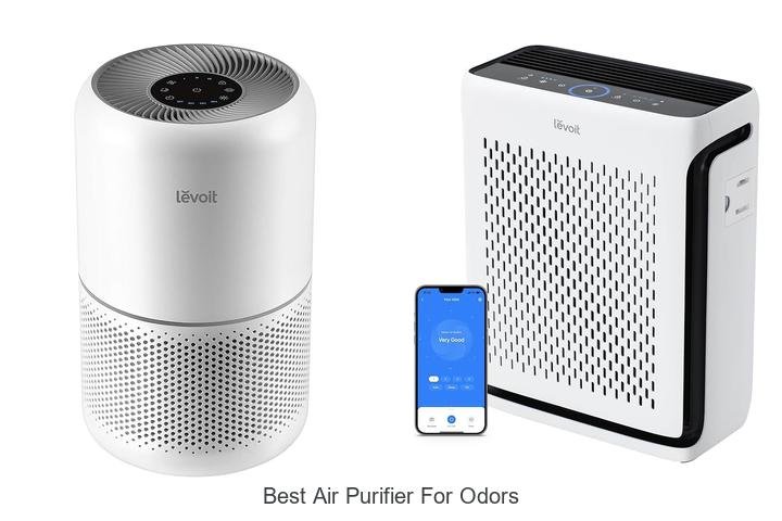best air purifier for odors
