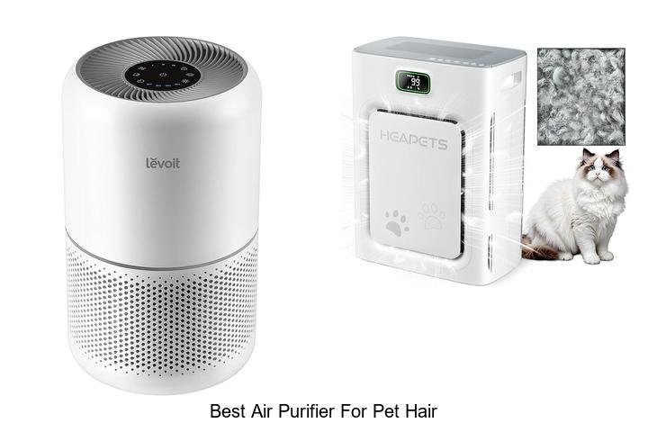 best air purifier for pet hair
