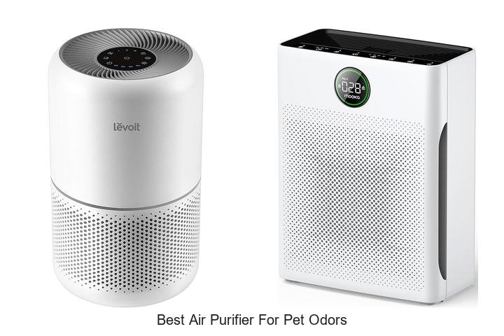 best air purifier for pet odors