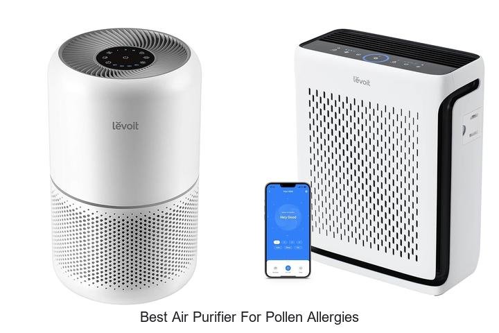 best air purifier for pollen allergies