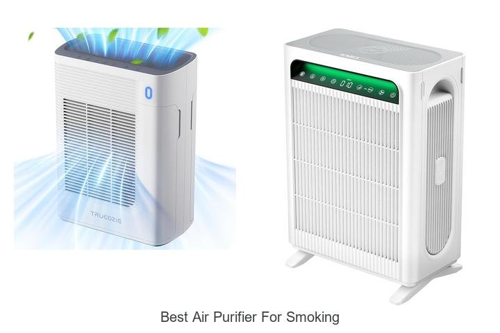 best air purifier for smoking