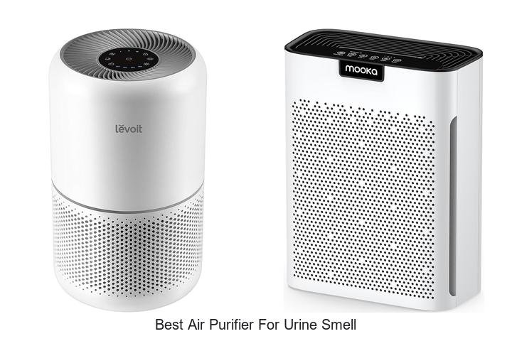 best air purifier for urine smell