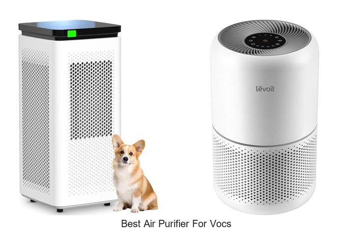 best air purifier for vocs