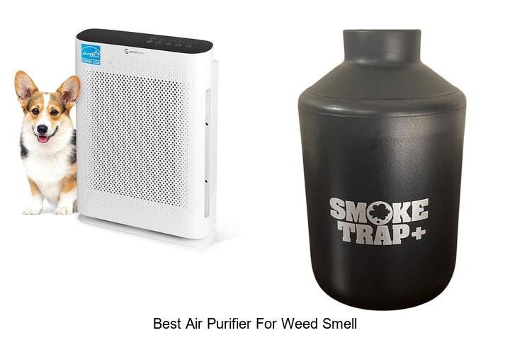 best air purifier for weed smell