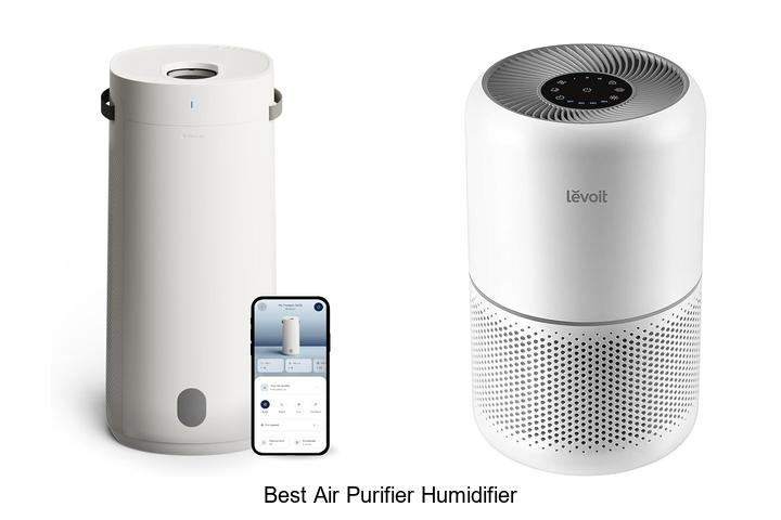best air purifier humidifier