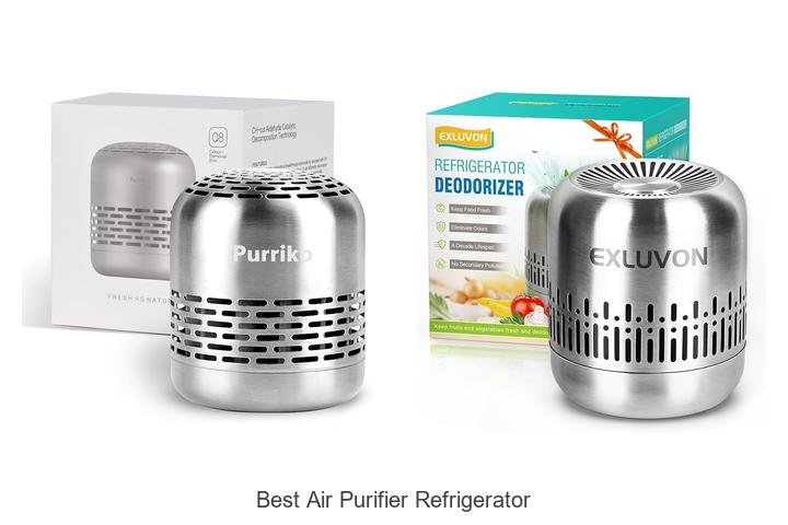 best air purifier refrigerator