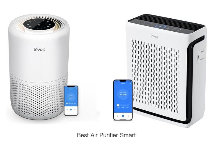 best air purifier smart