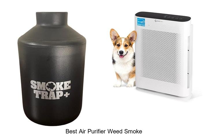 best air purifier weed smoke