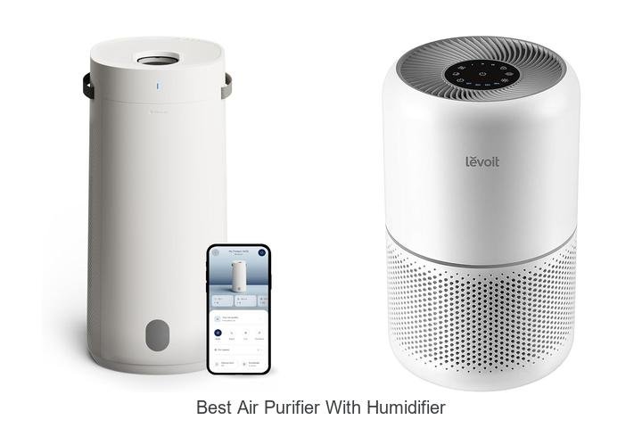 best air purifier with humidifier
