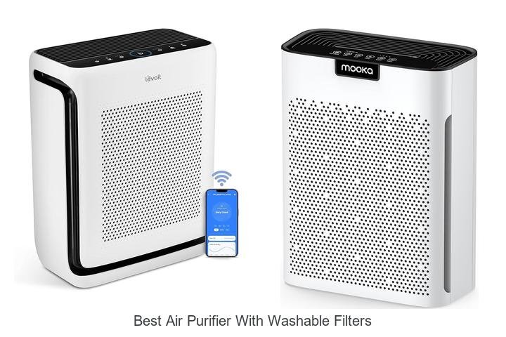 best air purifier with washable filters