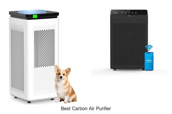 best carbon air purifier