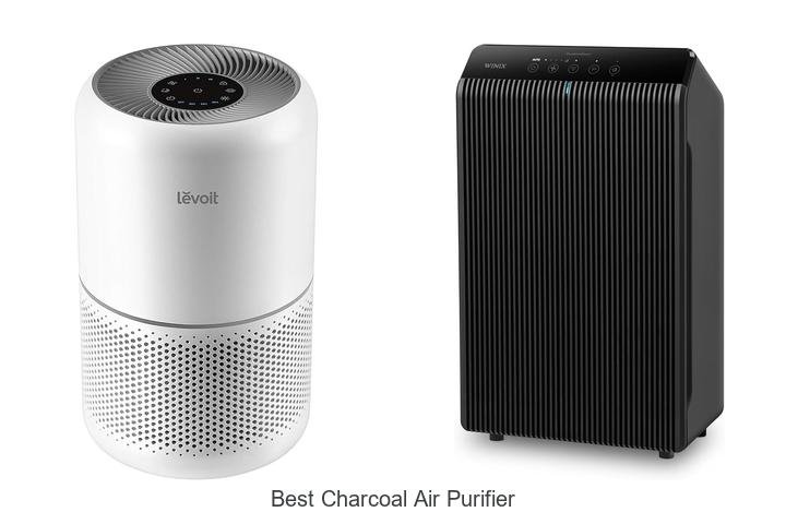 best charcoal air purifier