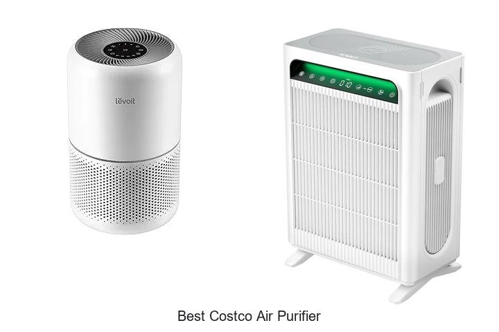 best costco air purifier
