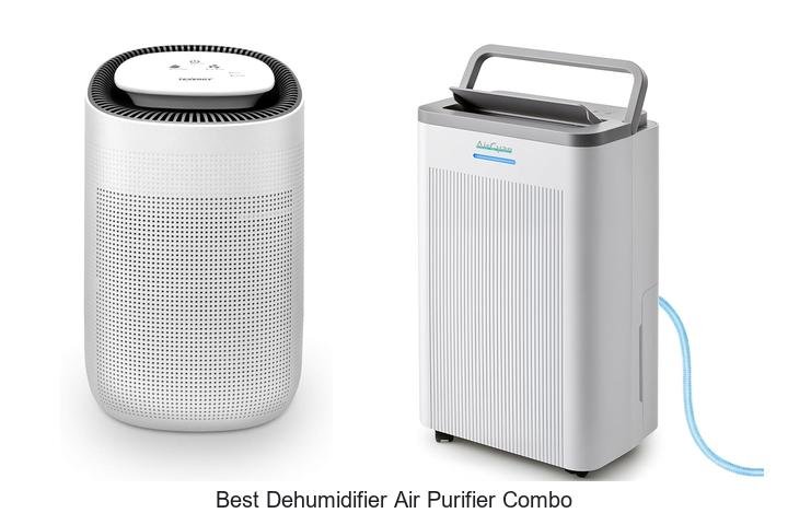 best dehumidifier air purifier combo