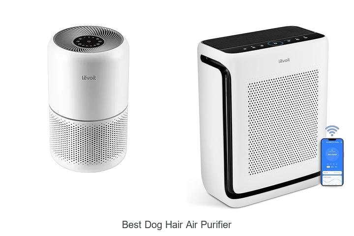 best dog hair air purifier