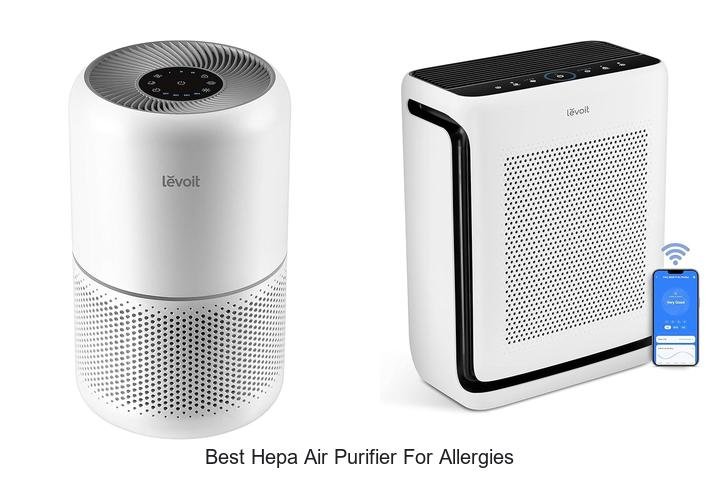 best hepa air purifier for allergies