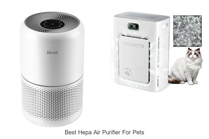 best hepa air purifier for pets best hepa air purifier for pets