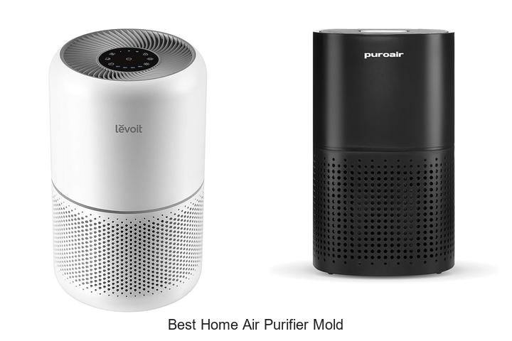 best home air purifier mold