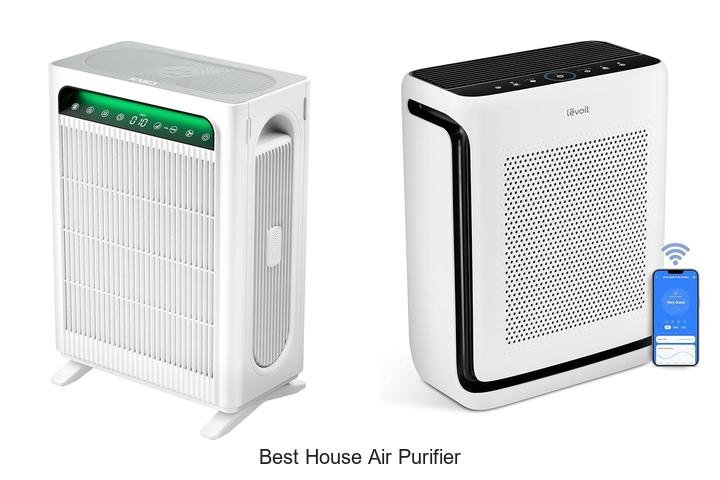 best house air purifier