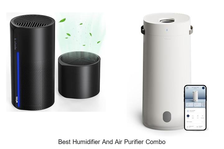 best humidifier and air purifier combo