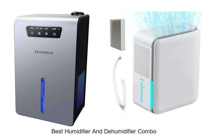 best humidifier and dehumidifier combo
