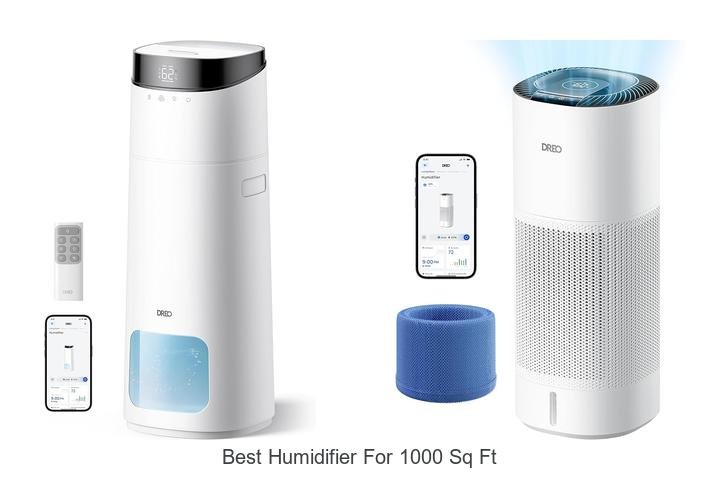 best humidifier for 1000 sq ft