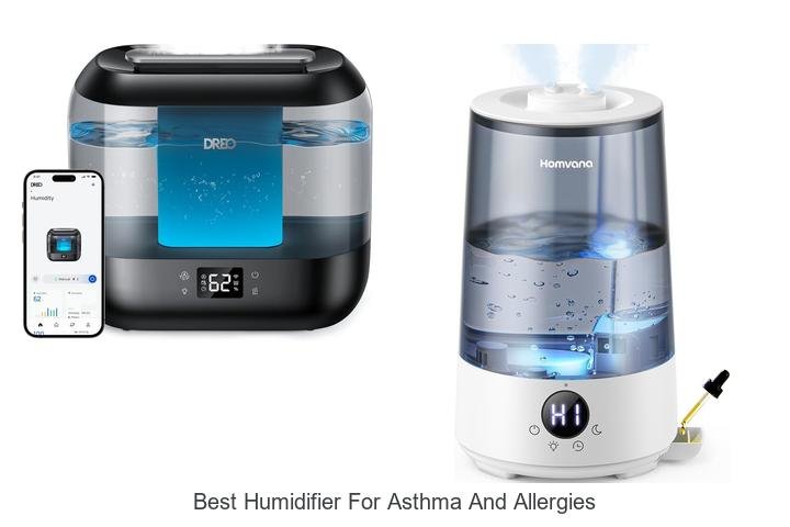 best humidifier for asthma and allergies