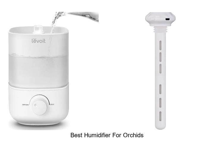 best humidifier for orchids