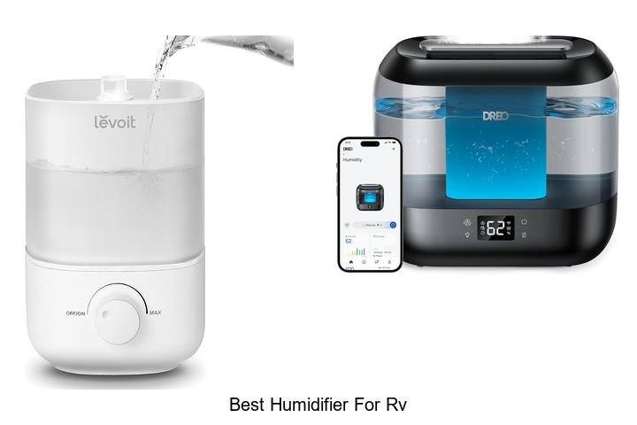 best humidifier for rv
