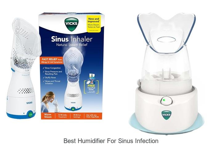 best humidifier for sinus infection