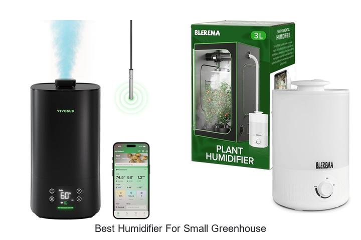 best humidifier for small greenhouse