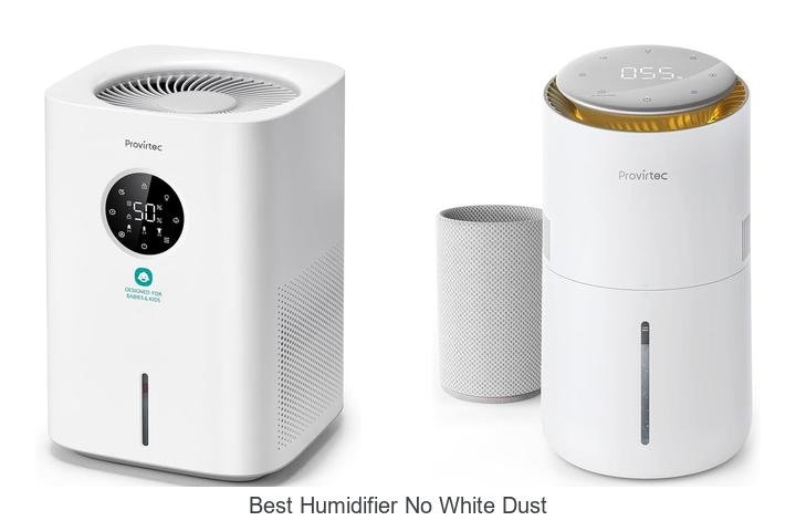 best humidifier no white dust