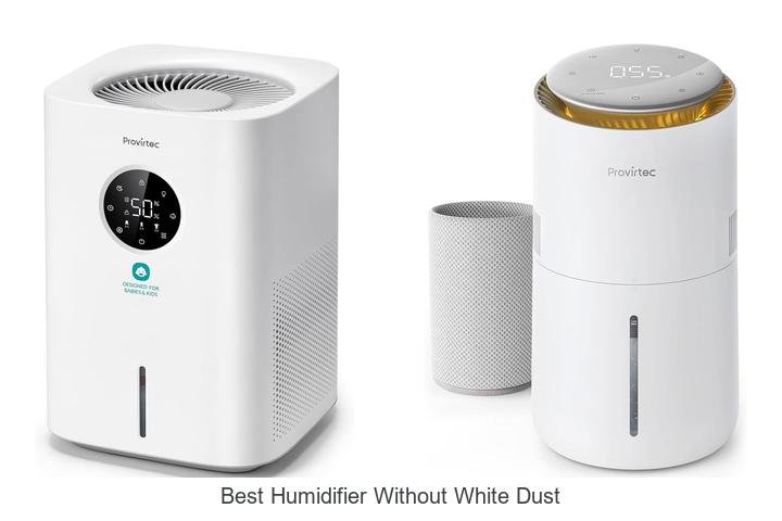 best humidifier without white dust