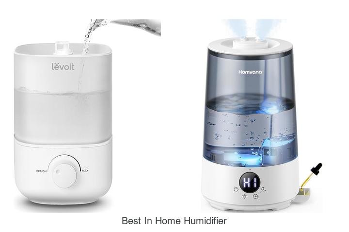 best in home humidifier