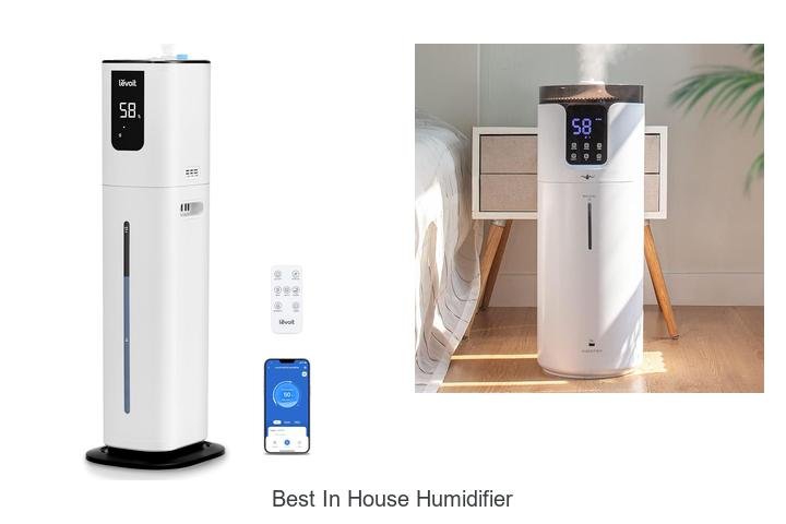 best in house humidifier