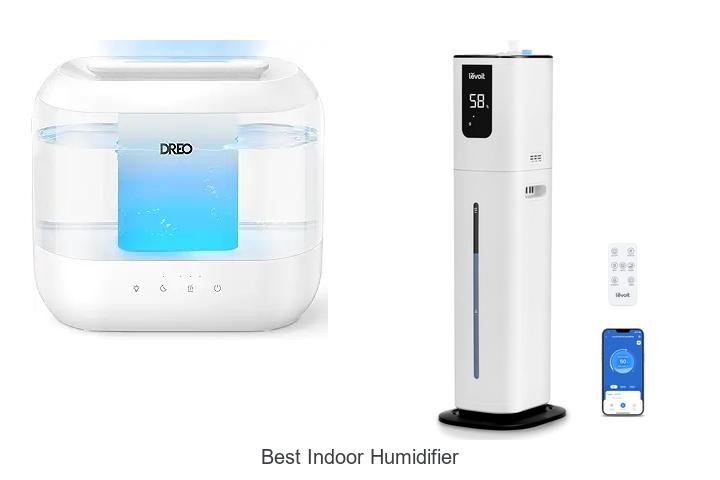 best indoor humidifier