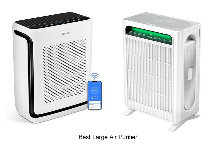 best large air purifier