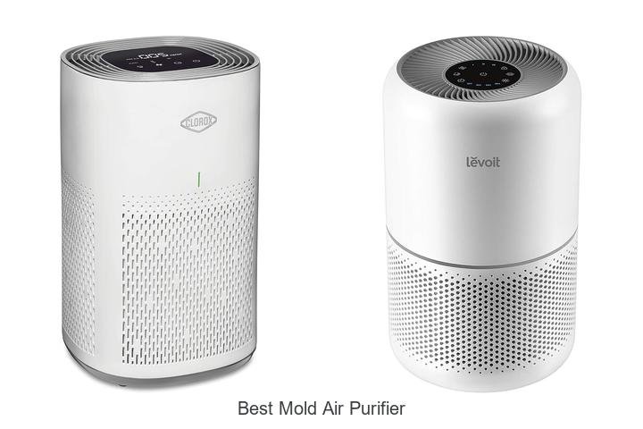 best mold air purifier