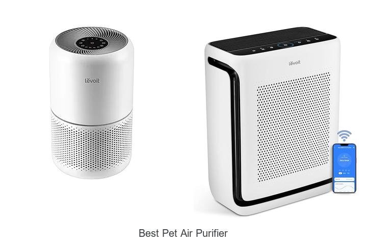 best pet air purifier