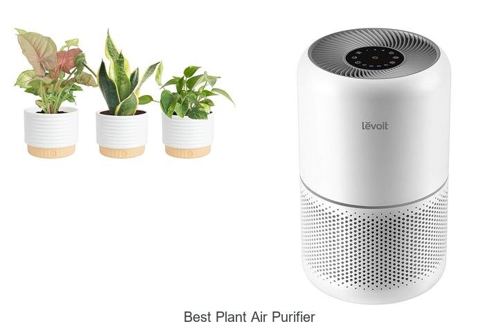 best plant air purifier best plant air purifier