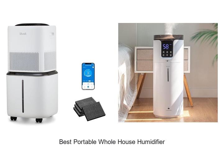 best portable whole house humidifier