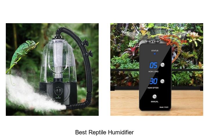 best reptile humidifier
