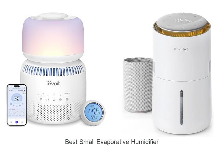 best small evaporative humidifier