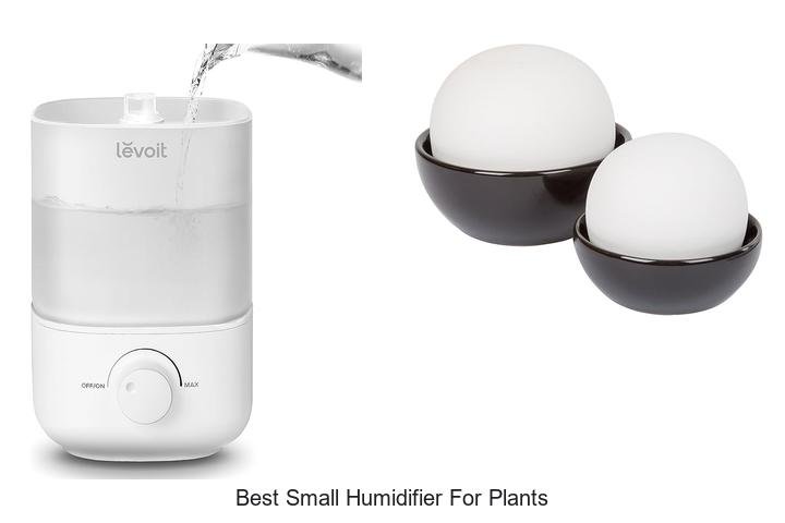 best small humidifier for plants
