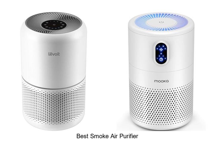 best smoke air purifier