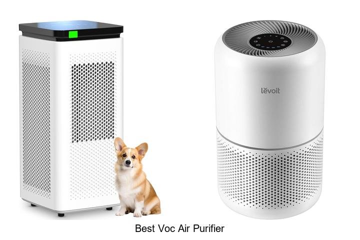 best voc air purifier