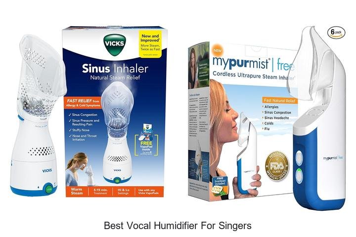 best vocal humidifier for singers